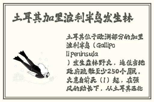 久久国产精品无码一区